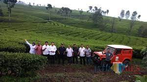 Berbasi android ini telah selesai. Pabrik Teh Di Ngoro Industri Halaman 20 Pabrik Di Jawa Timur Lamudi The First Phase Development Started In January 1991 Covering A Total Area Of 215 Ha Land Including Export