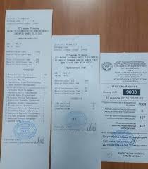 Отдать свой голос онлайн смогут жители Vybory Prezidenta I Referendum V Krasnoyarske Podveli Itogi Golosovaniya Vlast Www 24 Kg Kyrgyzstan