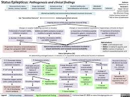 Image result for Status Epilepticus