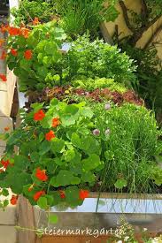 Mischkultur Im Garten Diese Pflanzen Begunstigen Sich Gegenseitig Mischkultur Pflanzen Garten Pflanzen