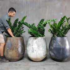 Garden Life On Instagram An Old Favourite A Perennial Favourite The Woodfired Tulip Pot With Its Lovely S Potted Plants Patio Potted Plants Outdoor Plants