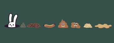 Image result for Bristol Stool Scale