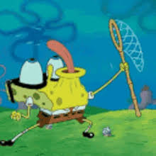 Check spelling or type a new query. Funny Spongebob Gifs Tenor