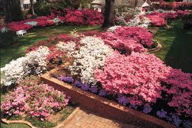 Celebrate and remember the lives we have lost in toledo, ohio. East Texas In Bloom Deep South Magazine