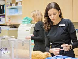 Emergency pet care near me. Merced Emergency Vet Pet Emergency