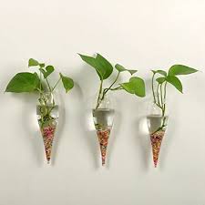 We offers modern plant containers products. Orimina Pack Of 3 Wall Planter Wall Hanging Planters Air Plant Pots Glass Air Plant Containers Flower Pots Air Plant Flower Pot Hanger Flower Pot Ideas Sale In Germany Usa