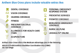 Sending a letter to blue cross blue shield fep dental, p.o. Best Medi Medi Plan Anthem Mediblue Coordination Advantage Plan For Dual Eligibles