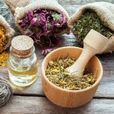 From the medicinal benefits to the kitchen benefits, you can find herbs that suit any of your needs. Herbal Medicine Medlineplus