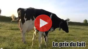 Aujourd'hui, elle désigne une personne énervée et fait allusion aux hommes contaminés par un animal enragé. La Vie Des Vaches Laitieres Ethique Et Animaux