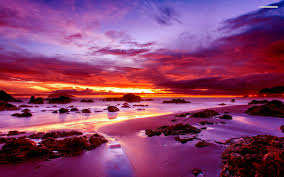 Check spelling or type a new query. Purple Sunset On Rocky Beach Wallpaper Nature And Landscape Wallpaper Better