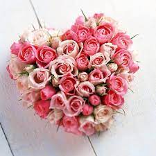 Pueblo florist offering the best selection of beautiful flowers for your special occasion ! Best Florist In Desoto County Ms Loveforlocals
