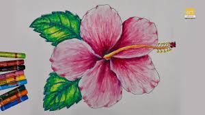 Colorful floral collection with leaves and flowers, hand drawn. How To Draw A Hibiscus Flower Easy Ii Hibiscus Flower Drawing Ii Artjanag Youtube