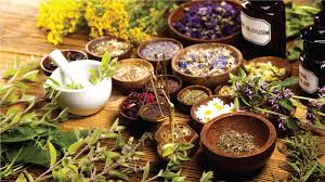 LalaHome Organic - mỹ phẩm thiên nhiên “lành từ lá” giúp phái đẹp chăm sóc  gia đình