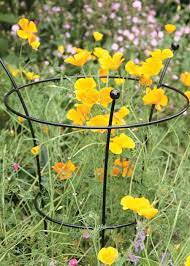 Pin On Garden Plant Support