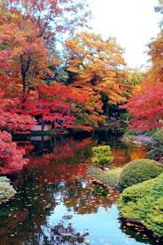 l automne est la une splendeur rien que pour le plaisir des yeux jardin japonais paysage automnal paysage zen