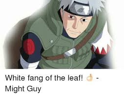 Naruto white fang of the leaf masuzi october 3, 2014 0 sao hatake narutopedia fandom sao hatake narutopedia fandom white fang of hidden leaf white fang sao hatake vs second we don't know if that son was sasori's dad, or if it was his uncle. O White Fang Of The Leaf Might Guy Meme On Sizzle