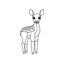 Bambi's tale unfolds from season to season as the young prince of the forest learns about life, love, and friends in this classic film. Fawn Coloring Page Stock Illustrations 69 Fawn Coloring Page Stock Illustrations Vectors Clipart Dreamstime