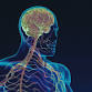 Befriending your Nervous System - Finding Home event image