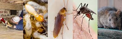 The building and pest inspection conducted by complete asset building inspections not only offers you with complete peace of mind but also keeps your property prevented against the entry of pests. Pest Control Forest Lake All Bugs