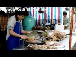 Ruyada Kedi Eti Yemek Videolu Ruya Tabirleri Yemek Kedi Yemek Tarifleri
