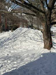 School Closure/Delay Prediction For Friday, Jan. 30th