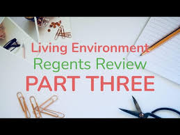 Period of time beginning when first reporting for official duty and ending and final shutdown of final flight. Living Environment Regents Review Biology Regents Study Video Part 3 Youtube