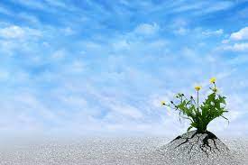 Instead, it just means that they've found a pretty good way of dealing with it more quickly than others. What Is Resilience Changeboard