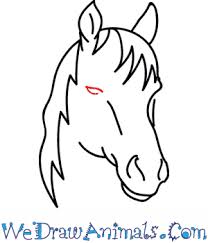 Drawing a horse's head can be done if you follow a few very easy steps. How To Draw A Mustang Horse Head
