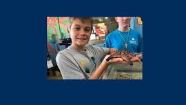 The Bug Lab (3rd-6th Grade)
