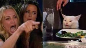 Woman Yelling At Cat Meme His Name Is Smudge He S From Ottawa And He Hates Salad Ctv News