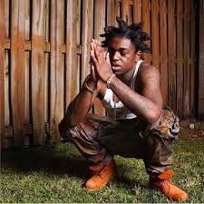 The florida rapper keeps the fresh material coming, putting on the song i n u. in the accompanying visual, young kodak plays around in his mansion and hops in the whip for. Download Kodak Black 2020 Songs Albums Mixtapes On Zamusic