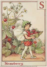 5 out of 5 stars. Lessons In Magic The Iconic Flower Fairy Paintings By Cicely Mary Barker Daily Mail Online