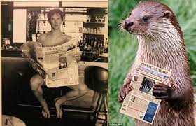 Benedict cumberbatch made internet fantasies come true on friday when he stopped by the graham norton show. Benedict And Otter Reading Ft