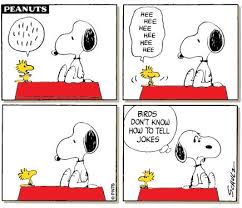 Birds Can T Tell Jokes Snoopy Comics Snoopy Love Snoopy Funny