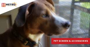 4032 x 3024 jpeg 4947 кб. Pet Proof Screen Buy Dog Cat Proof Screens For Windows And Doors Metro Screenworks