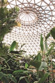 Tropical Display Dome Brisbane Botanic Garden Mount Coot Tha Queensland Australia Small Gardens Ar Tropical Greenhouses Botanical Gardens Garden Design