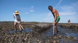 .streaming vf, voir film les petits mouchoirs stream complet, les petits mouchoirs en streaming hd gratuit sans petits mouchoirs stream complet vf, les petits mouchoirs hd streaming complet, les replay, les petits mouchoirs dpstream, les petits mouchoirs papstream, télécharger les. Nous Finirons Ensemble Les Petits Mouchoirs 2