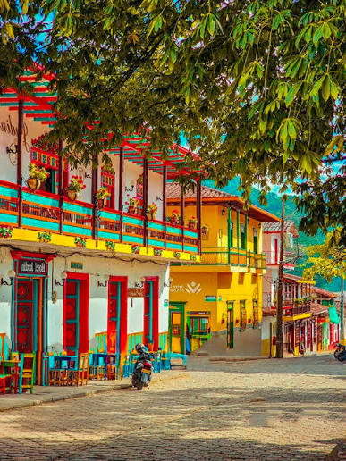 Jardín