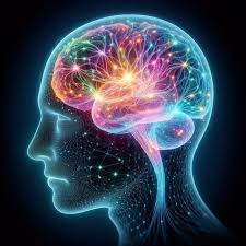 images?q=tbn:ANd9GcQDShAx0VDmZI1jYNRFnPLf_NAIpvAZWJtTOkrgvxho5BYKVJO2