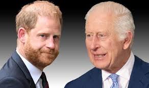 Prince Harry and King Charles's peace summit explained