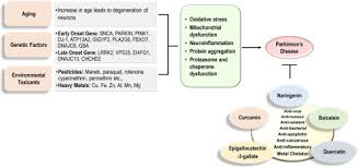 Image result for COMT Inhibitor