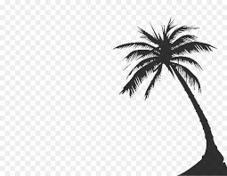 Palm trees vector palm tree designs palm trees palm palm tree vector black palm tree icon carribbean elements palm trees and water palm tree yoga palm tree. Coconut Tree Drawing Png Download 900 700 Free Transparent Arecaceae Png Download Cleanpng Kisspng
