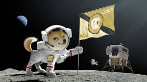 According to google play doge to the moon dogecoin game achieved more than 100 installs. Wallpaper 1920x1080 Px Artwork Doge Moon Space 1920x1080 Coolwallpapers 667787 Hd Wallpapers Wallhere