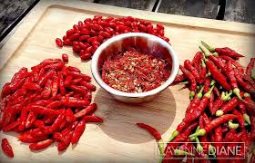 Check spelling or type a new query. How To Dry Peppers Cayenne Diane