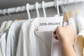 The sustainable clothing brand is b corp certified and partners with charitable organizations across the world to plant trees and rehabilitate natural ecosystems. A Deep Dive Into The Global Market For Sustainable Apparel Just Style