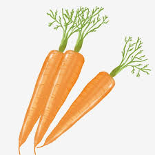 Le Dessin Carotte Illustration Plante Les Fruits La Sante Jus De Fruits La Division Du Secteur Prive La Papouasie Images Fruits Et Legumes Carotte Illustration