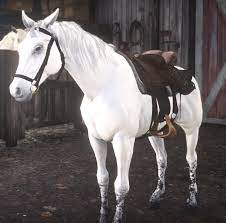 Arabian horses are a superior class, often kept by wealthy owners. Arabian Red Dead Wiki Fandom