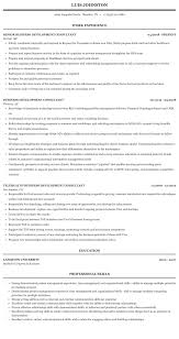 business development consultant resume