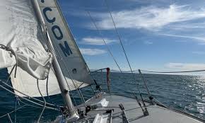 The S.B. Questionnaire: Amy DiGregorio