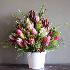 Swallows Nest Farm Protea Repens Sugarbush Flower Arrangements Diy Valentine S Day Flower Arrangements Flower Arrangement Designs